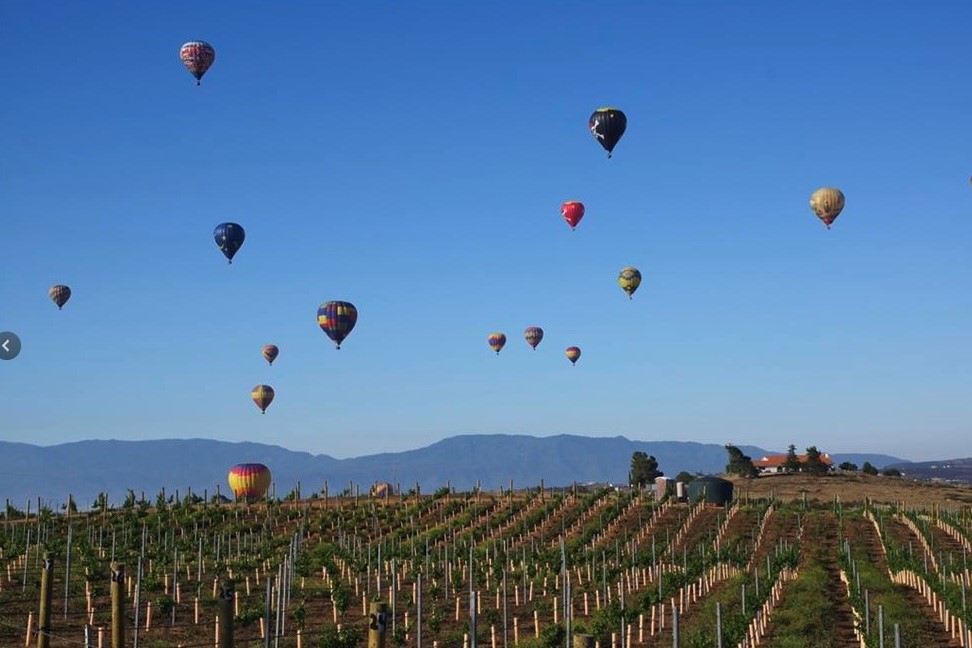 MLS #OC25253542 image #61