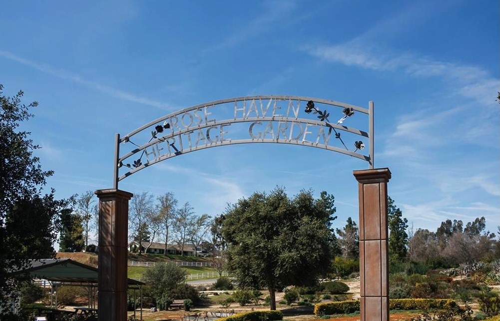 MLS #OC25253542 image #62