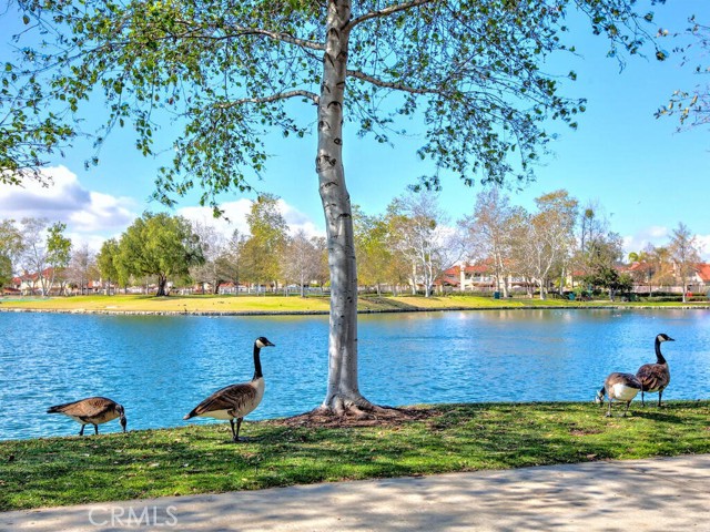 MLS #OC25253677 image #23