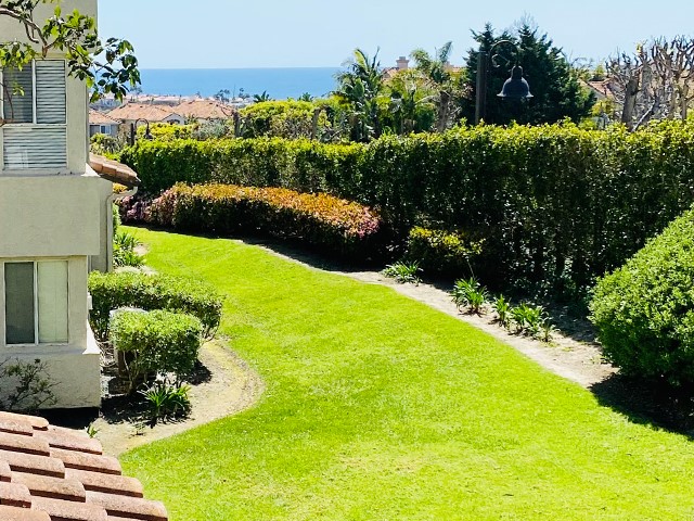 MLS #OC25253934 image #1