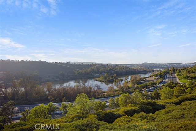 MLS #OC25254099 image #37