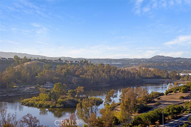 MLS #OC25254099 image #39