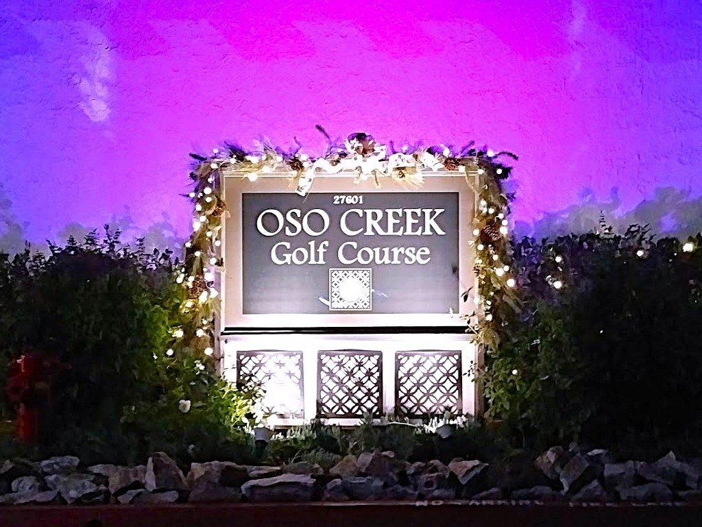 MLS #OC25254212 image #66