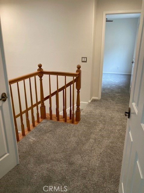 MLS #OC25254403 image #14