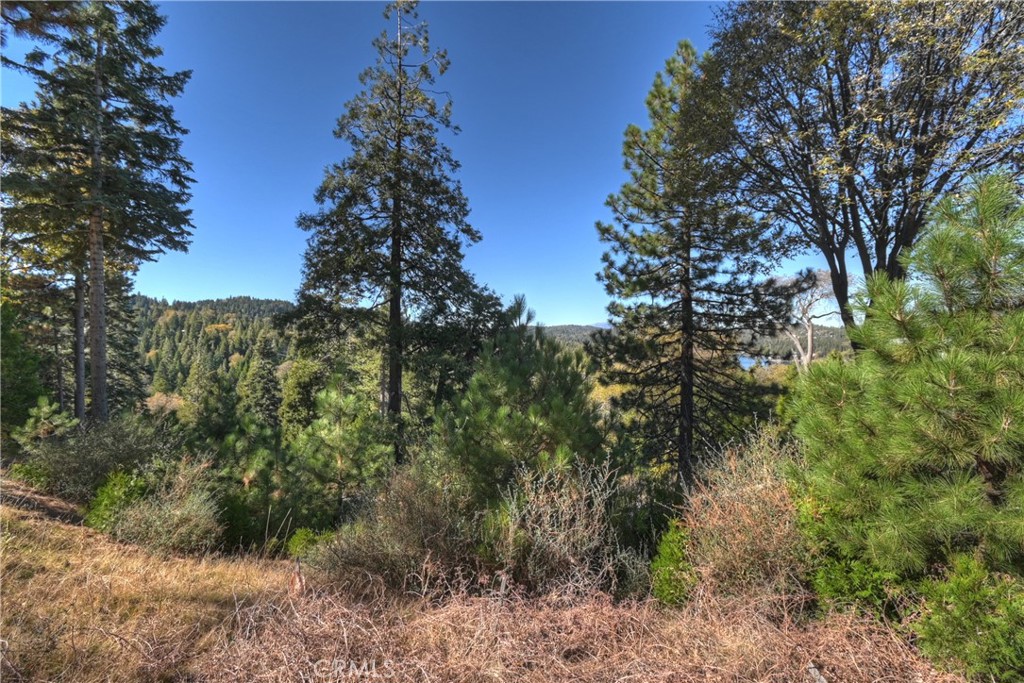 MLS #OC25254564 image #11