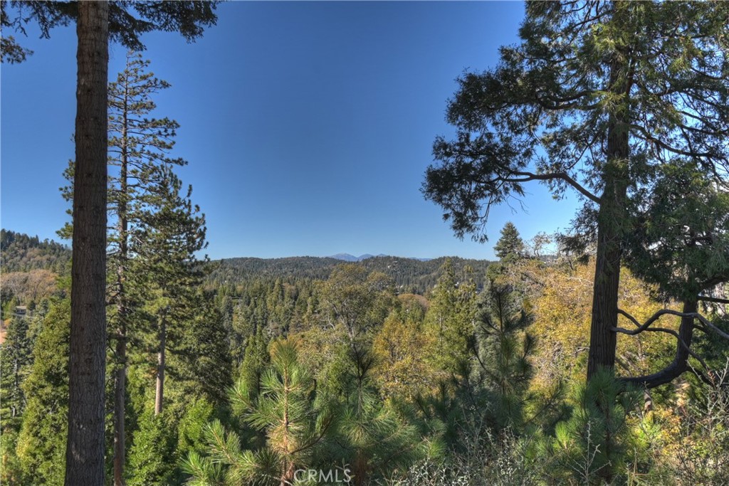 MLS #OC25254564 image #12