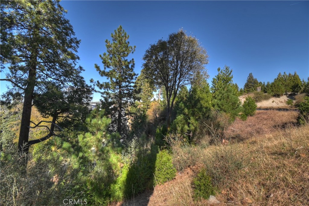 MLS #OC25254564 image #13