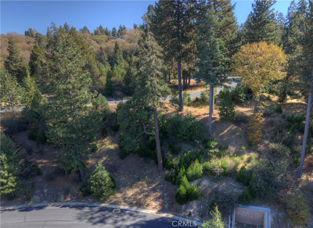 MLS #OC25254564 image #9