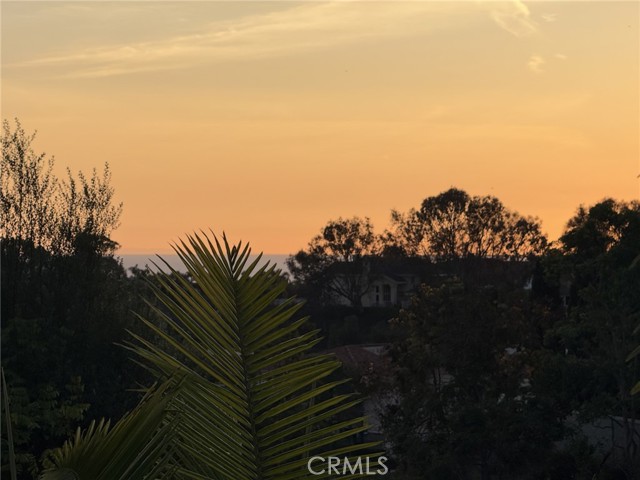 MLS #OC25254981 image #54