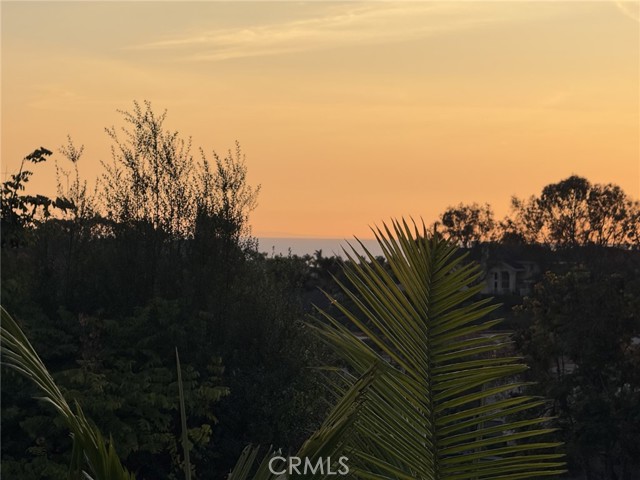 MLS #OC25254981 image #55