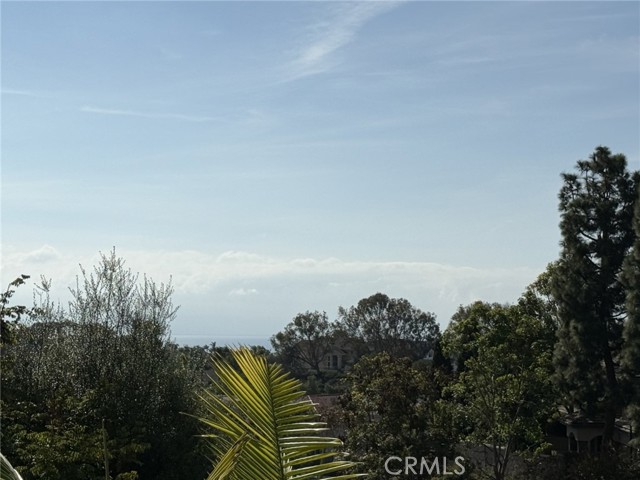 MLS #OC25254981 image #56