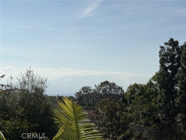 MLS #OC25254981 image #57