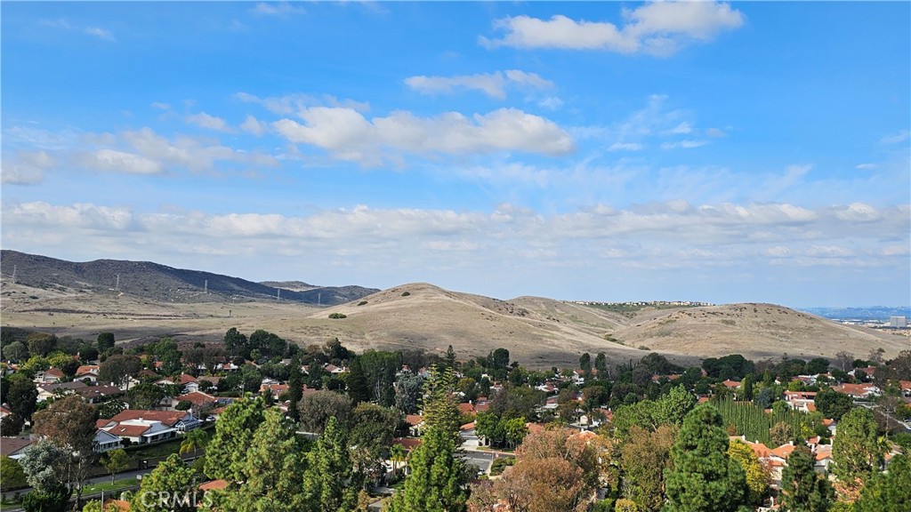 MLS #OC25254992 image #12