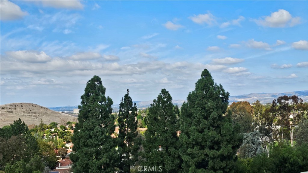 MLS #OC25255034 image #6