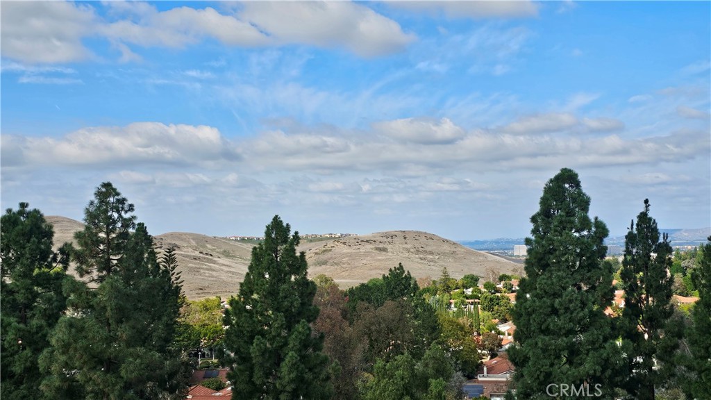 MLS #OC25255034 image #7