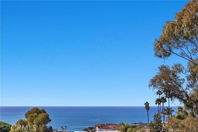 MLS #OC25255332 image #48