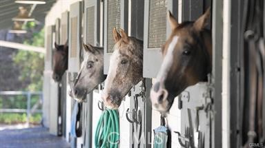 MLS #OC25255577 image #29