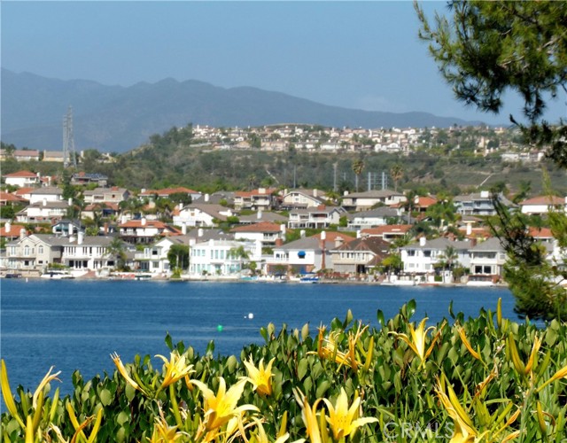 MLS #OC25256020 image #62