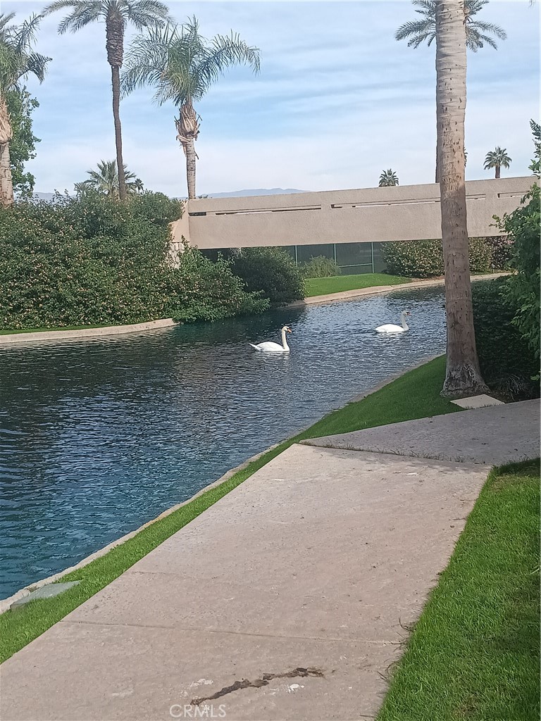 MLS #OC25256253 image #22