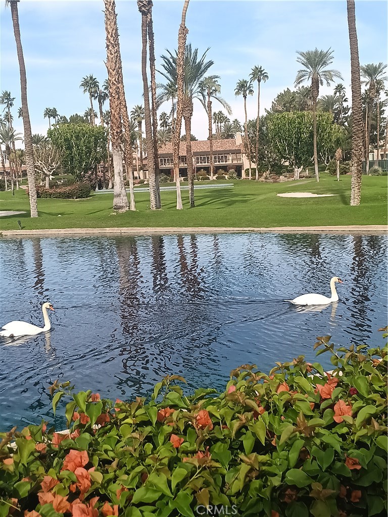 MLS #OC25256253 image #24