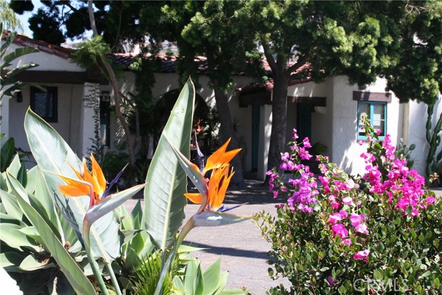 MLS #OC25256783 image #1