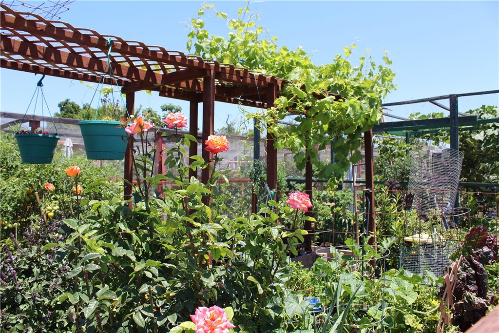 MLS #OC25256803 image #24