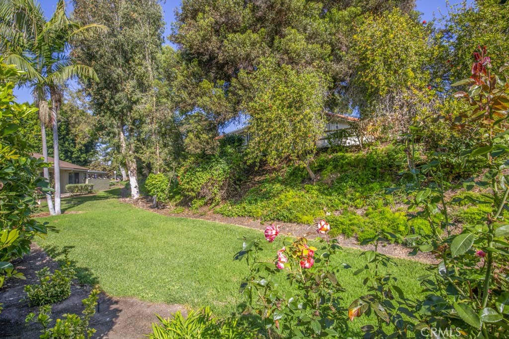 MLS #OC25256875 image #28