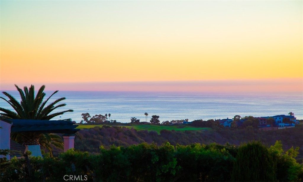 MLS #OC25256960 image #6