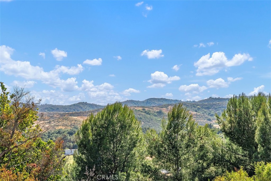 MLS #OC25257158 image #46