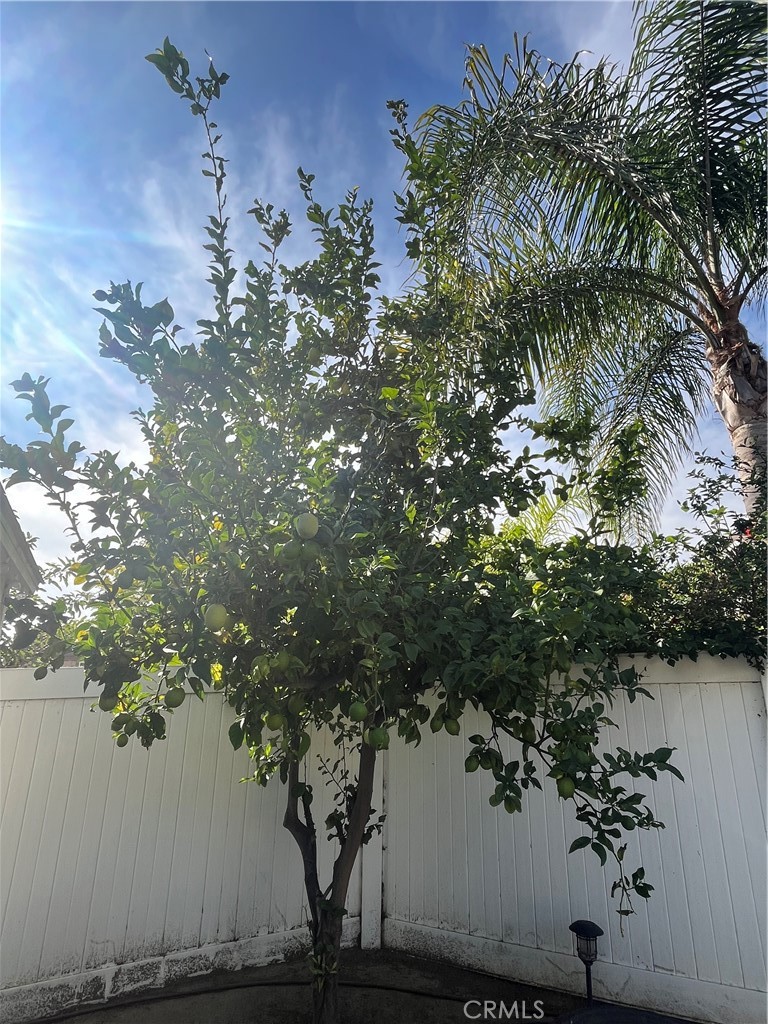 MLS #OC25257884 image #45