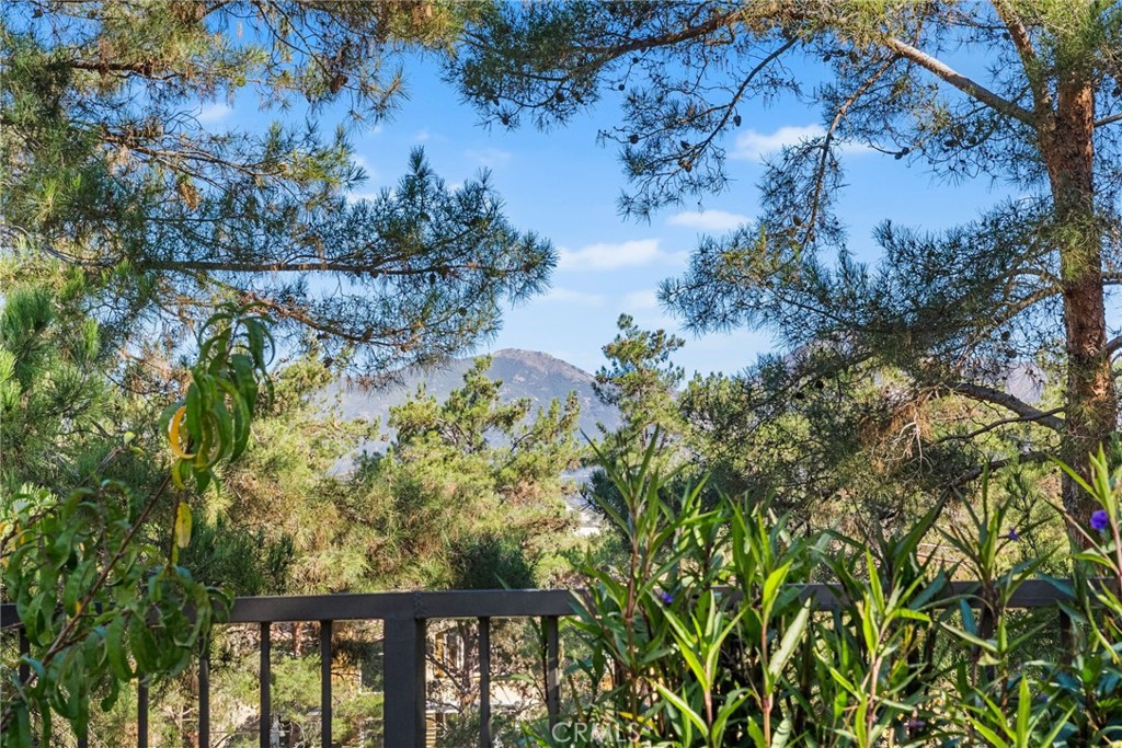 MLS #OC25258182 image #37