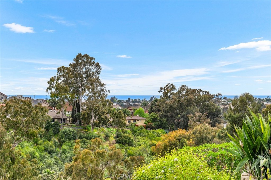 MLS #OC25258233 image #1