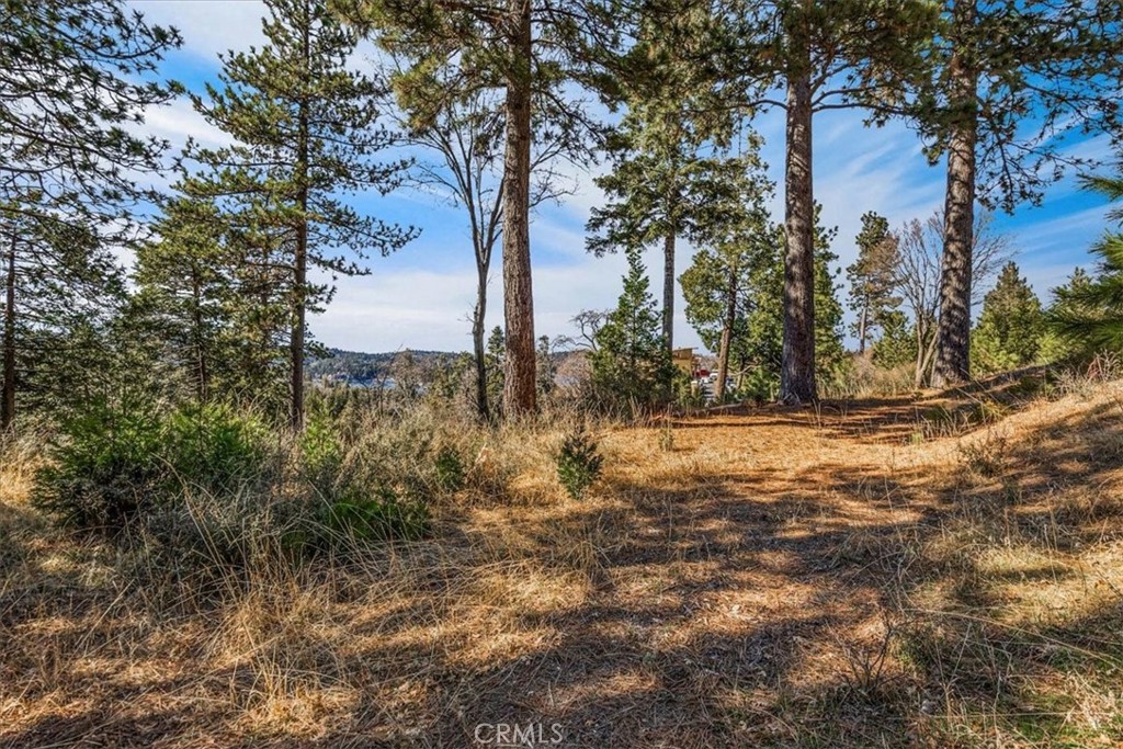 MLS #OC25258276 image #34