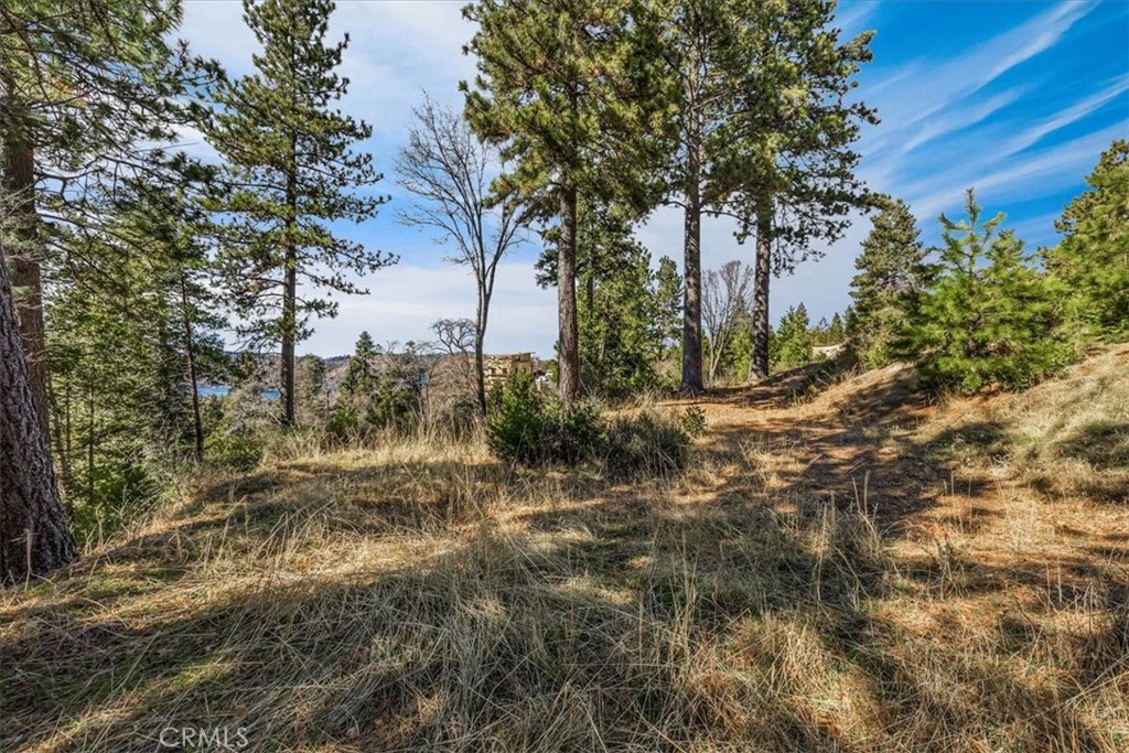 MLS #OC25258276 image #35