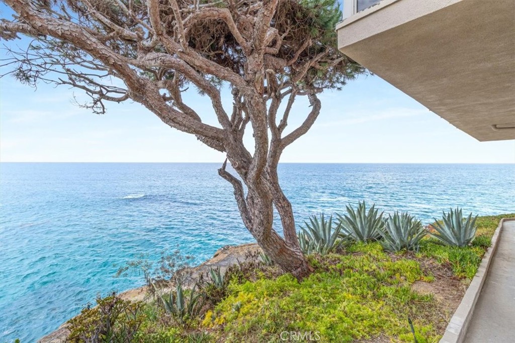 MLS #OC25258519 image #14