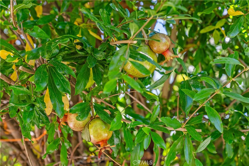 MLS #OC25258774 image #39