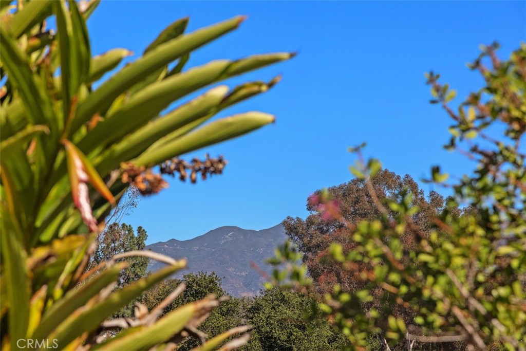 MLS #OC25258776 image #43