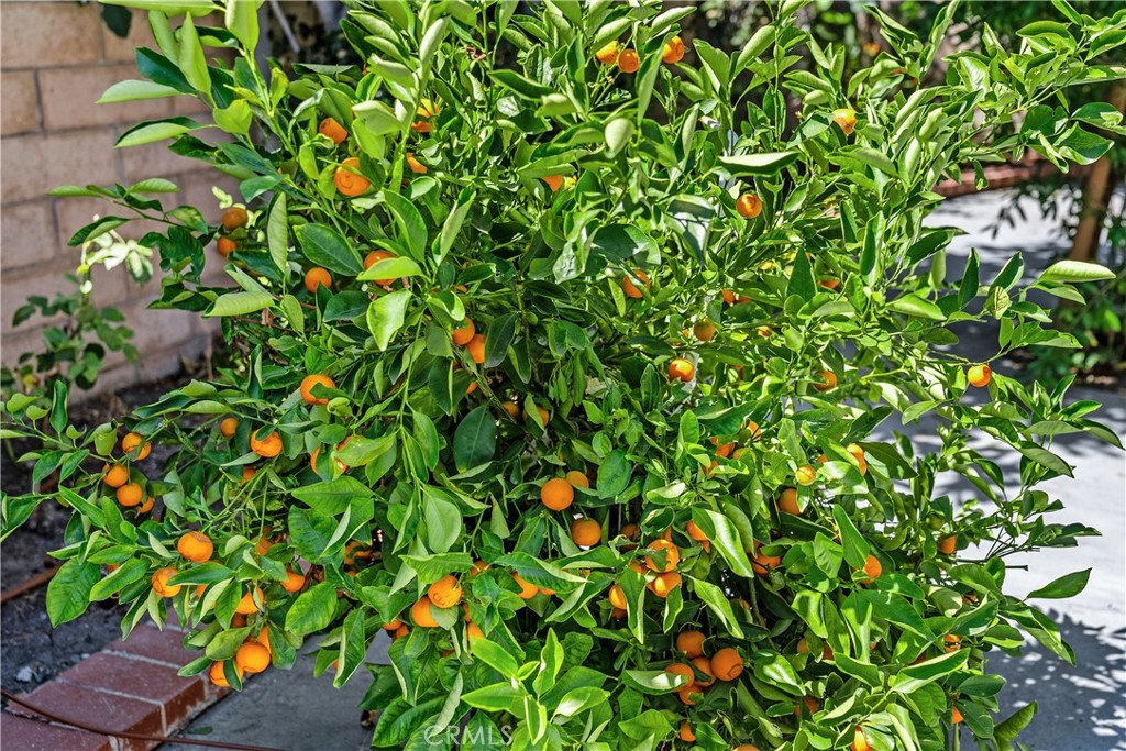 MLS #OC25258778 image #40