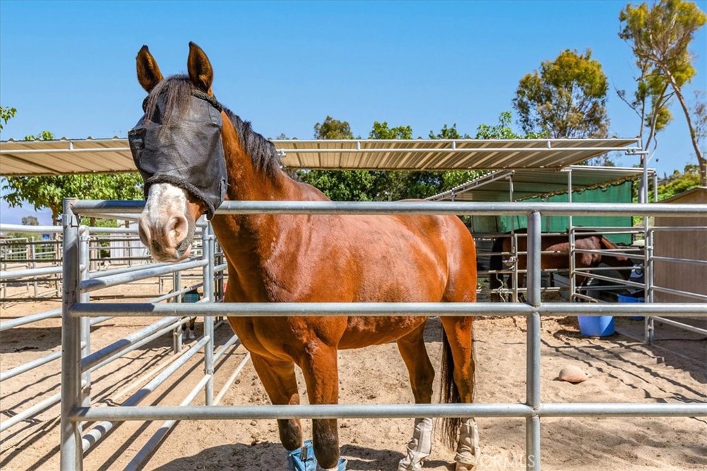 MLS #OC25258840 image #37