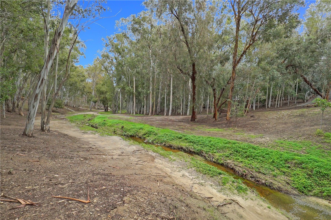 MLS #OC25258900 image #29