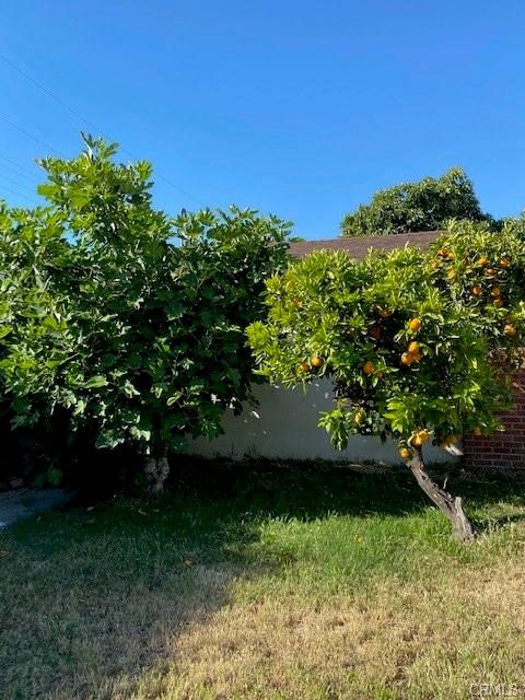 MLS #OC25259565 image #27