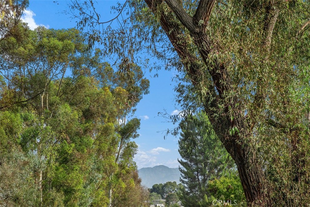 MLS #OC25259713 image #31