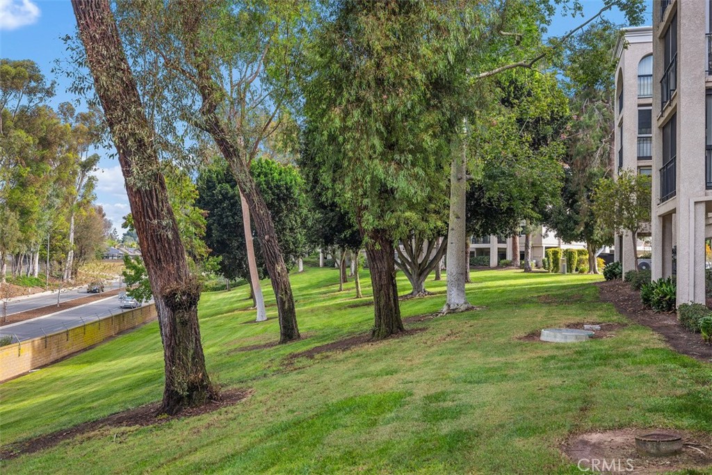 MLS #OC25259713 image #32