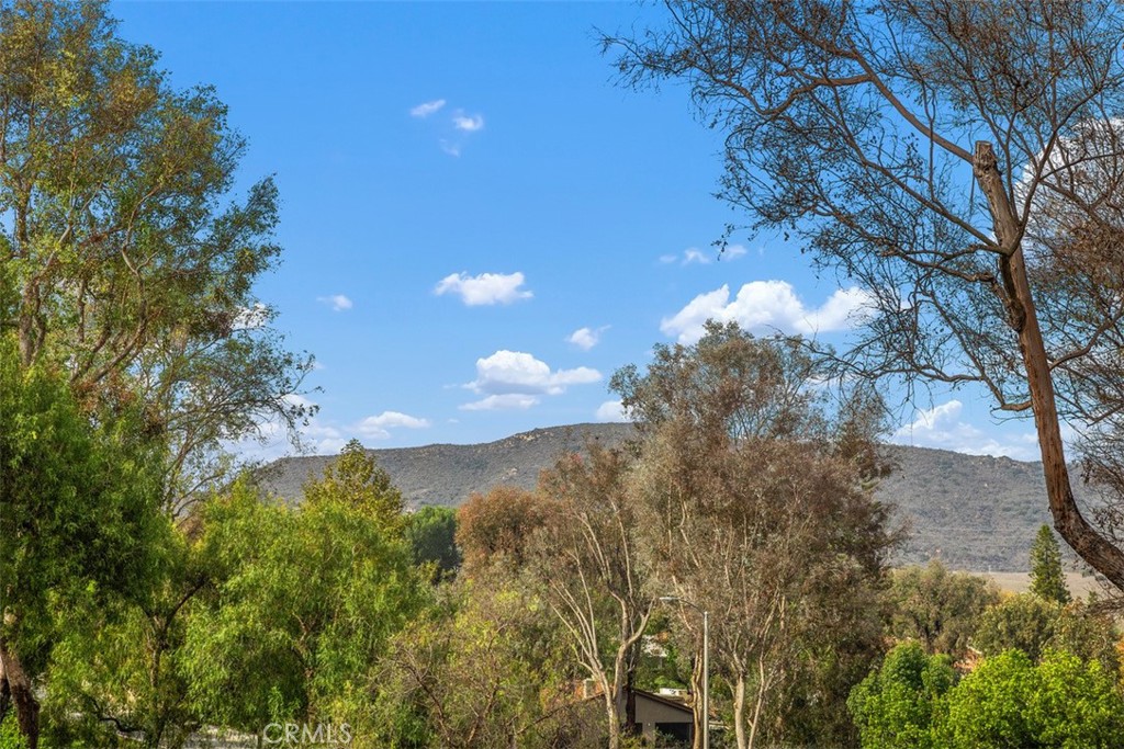 MLS #OC25259713 image #33