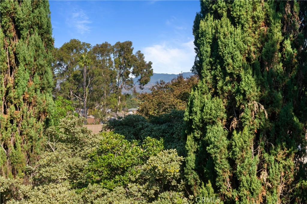 MLS #OC25259768 image #24