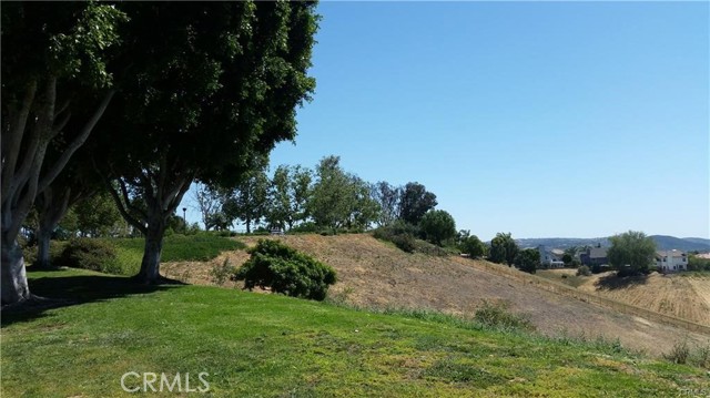 MLS #OC25259920 image #7