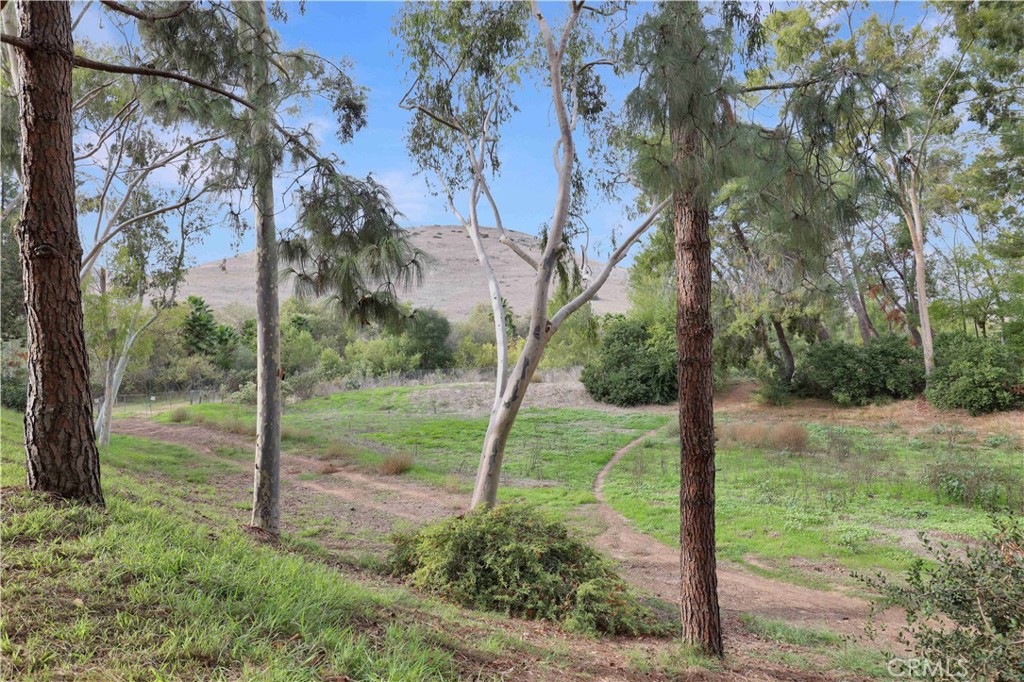 MLS #OC25259991 image #3