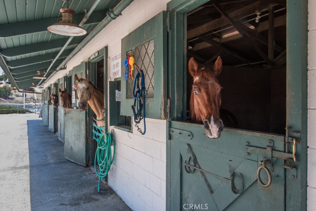 MLS #OC25259998 image #42