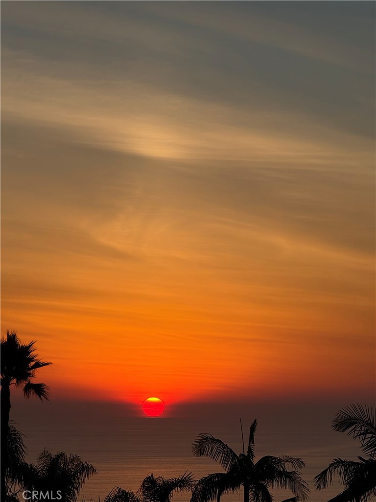 MLS #OC25260159 image #49