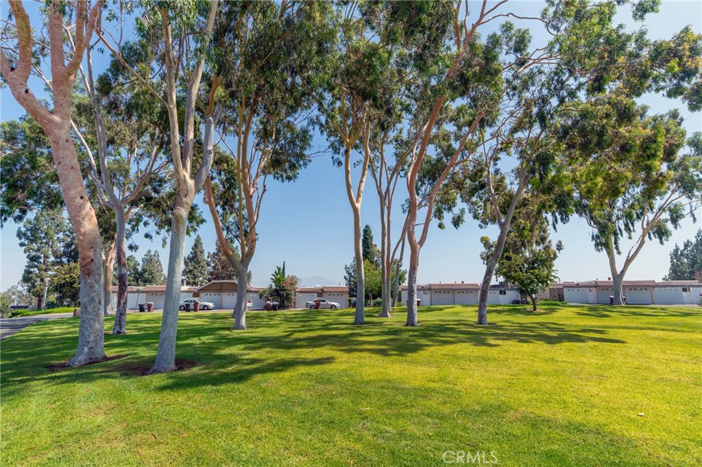 MLS #OC25260864 image #33